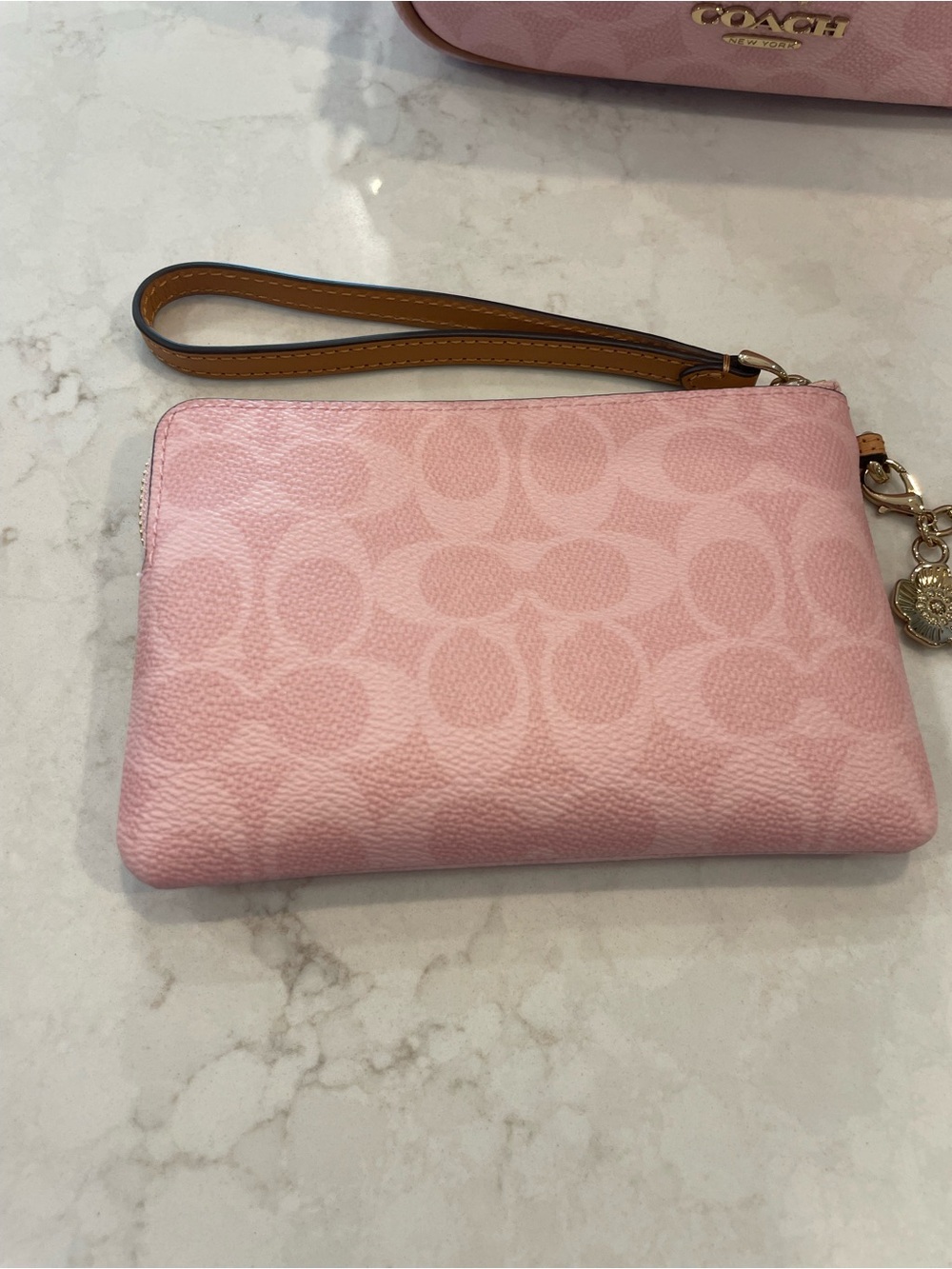 Coach Pink Signature Mini Carey Crossbody with Matching Wristlet - Picture 14 of 16